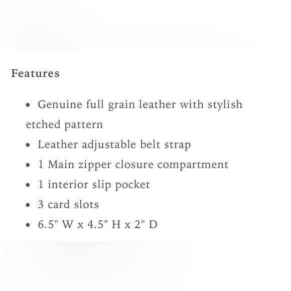 STS Waist Bag - Picture 5 of 5